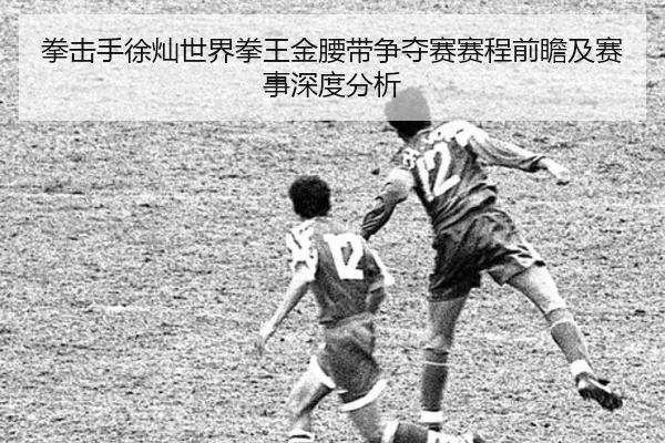quan-ji-shou-xu-can-shi-jie-quan-wang-jin-yao-dai-zheng-duo-sai-sai-cheng-qian-zhan-ji-sai-shi-shen-du-fen-xi-2-324.jpg