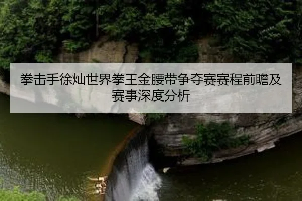拳击手徐灿世界拳王金腰带争夺赛赛程前瞻及赛事深度分析