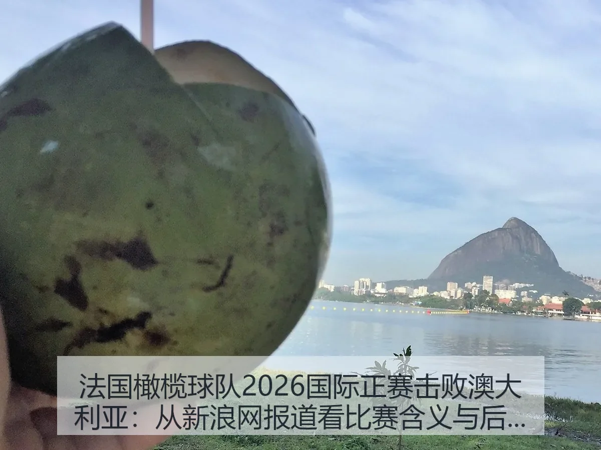 法国橄榄球队2026国际正赛击败澳大利亚：比赛含义与后续观察